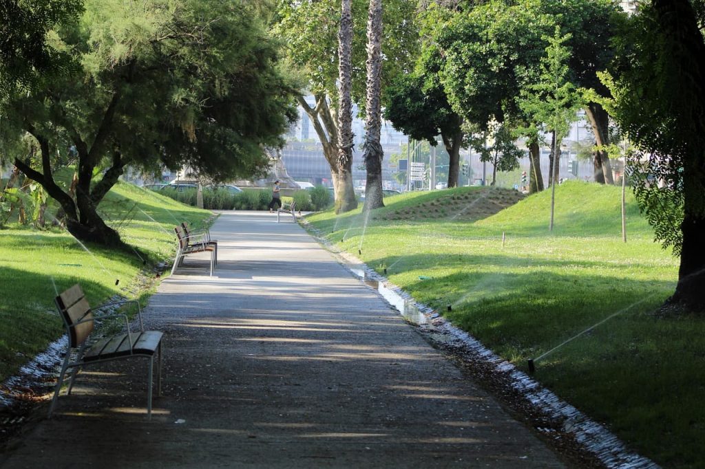 A sunny park scene with a tree-lined path flanked by green lawns. Benches sit along the walkway, and sprinklers water the grass, creating a tranquil atmosphere.